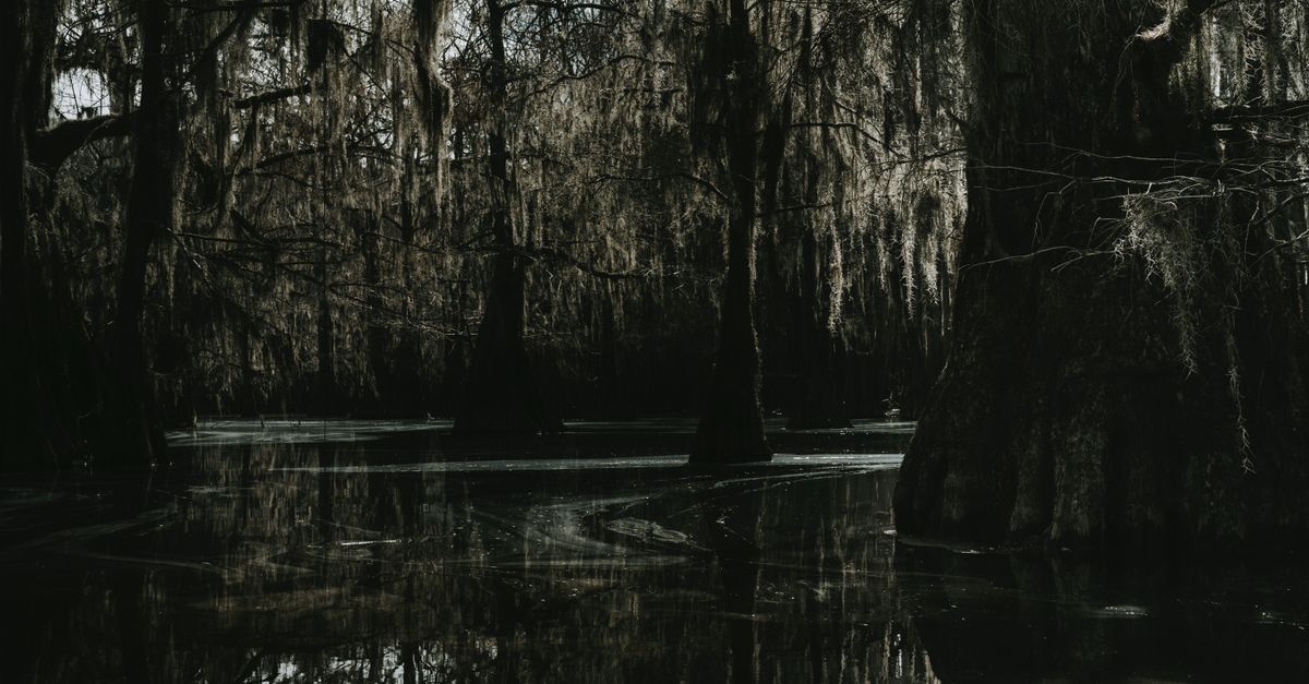A mysterious swamp scene with cypress trees and Spanish moss creating a dark and eerie atmosphere.
